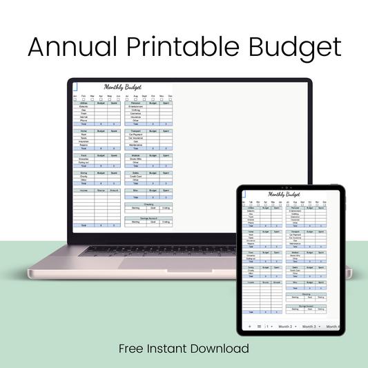 Printable Budget Tracker for Google Sheets, Expense Planner, Financial Planning Tool