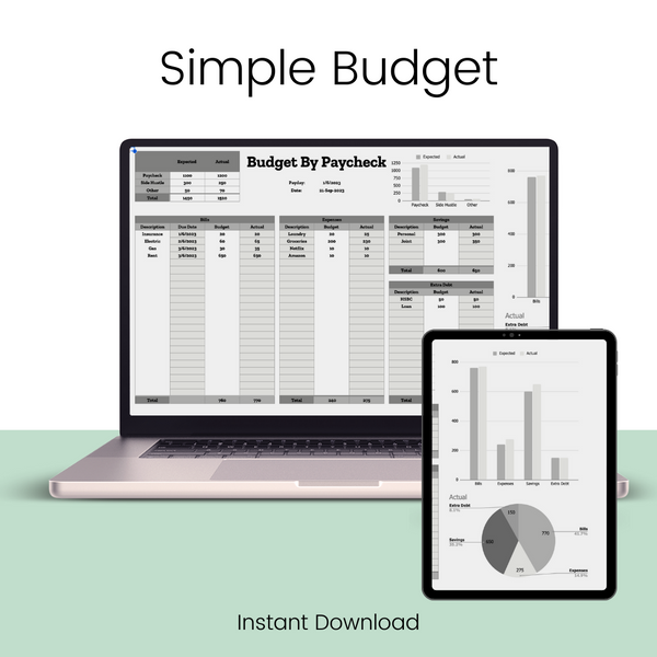 Quick Budget Overview Template